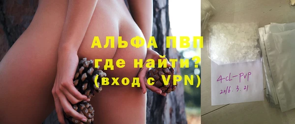 винт Абаза