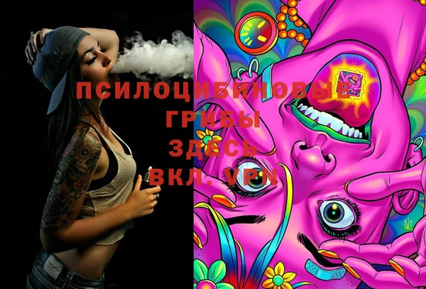 МДПВ Алексеевка
