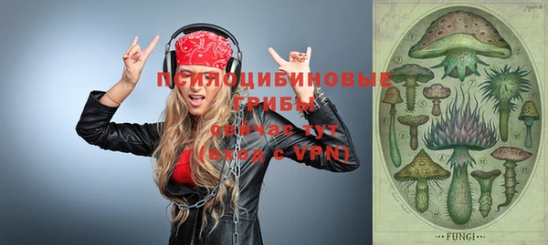 a pvp Алзамай
