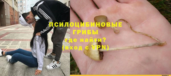 МДПВ Алексеевка