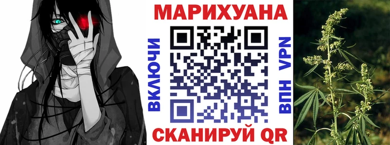 Марихуана OG Kush  Талица 